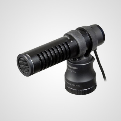 Микрофон VW-VMS10 для фотоаппарата Panasonic Lumix DMC-G80H .