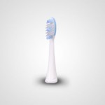 Сменная насадка WEW0929 (WEW0929W830, WEW0929N, WEW0929Y) для зубной щетки EW-DL82-W820