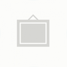 Электродвигатель ASMS293CR2 для соковыжималки Panasonic MJ-M171 Электродвигатель ASMS293CR2 для соковыжималки Panasonic MJ-M171